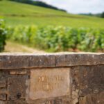 Une visite au domaine de La Romanée-Conti