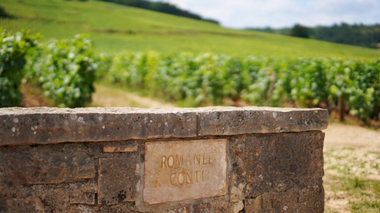 Lire la suite à propos de l’article Une visite au domaine de La Romanée-Conti
