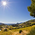 La Ferme Saint Martin | Un domaine authentique et familial