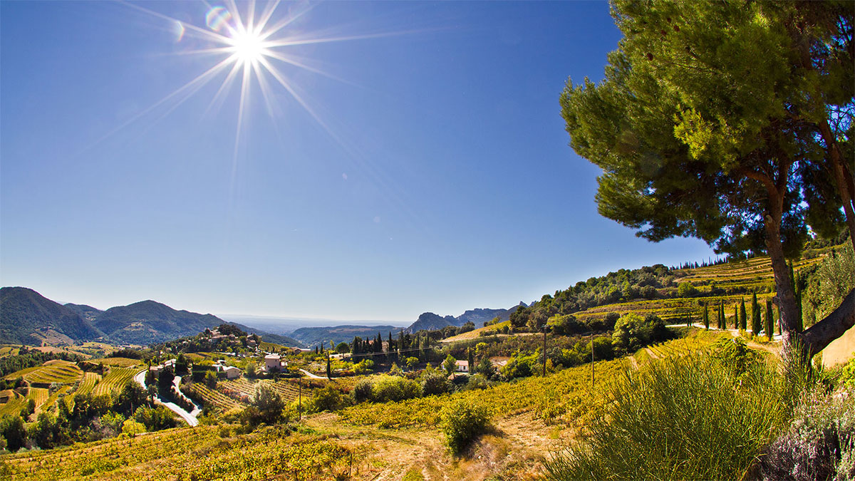 Lire la suite à propos de l’article La Ferme Saint Martin | Un domaine authentique et familial