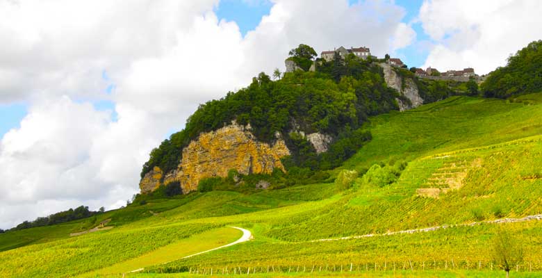 Guide-vins-Jura