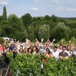 Quand l’équipe d’iDealwine prend le vert en Champagne