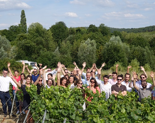 Lire la suite à propos de l’article Quand l’équipe d’iDealwine prend le vert en Champagne