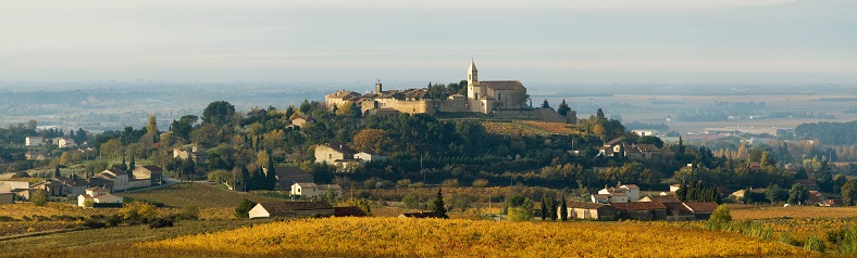 Marcel Richaud Côtes-du-Rhône iDealwine vignes de Cairanne