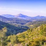 Domaine Comando G, la quintessence du grenache et la renaissance de la Sierra de Gredos