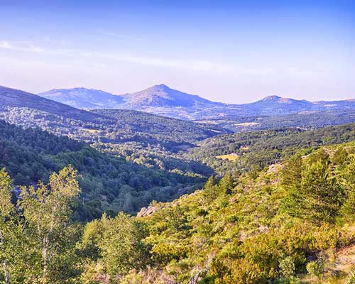 Lire la suite à propos de l’article Domaine Comando G, la quintessence du grenache et la renaissance de la Sierra de Gredos