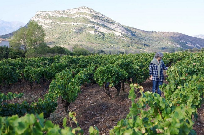 murielguidicelli-ses vignes