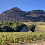 Muriel Giudicelli : vins corses fins et humilité