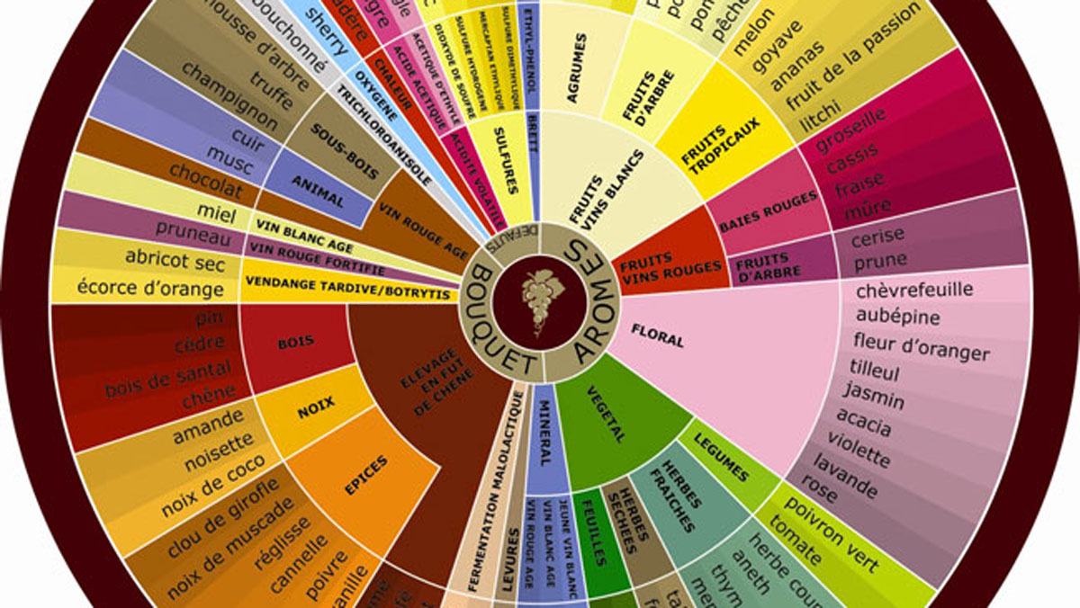 Lire la suite à propos de l’article Les arômes du vin, d’où viennent-ils ?