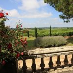 Château Reynon : le jardin secret de la famille Dubourdieu