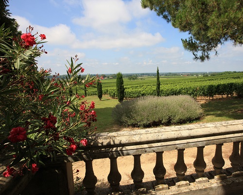 Lire la suite à propos de l’article Château Reynon : le jardin secret de la famille Dubourdieu