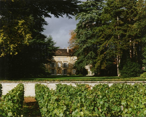 Lire la suite à propos de l’article Domaine Rebourseau : la famille Bouygues met un pied en Bourgogne