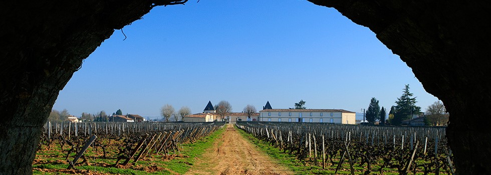 Château Climens vignes