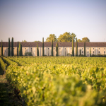 Château Clarke : fraîcheur et terroir de la Rive Droite … dans le Médoc