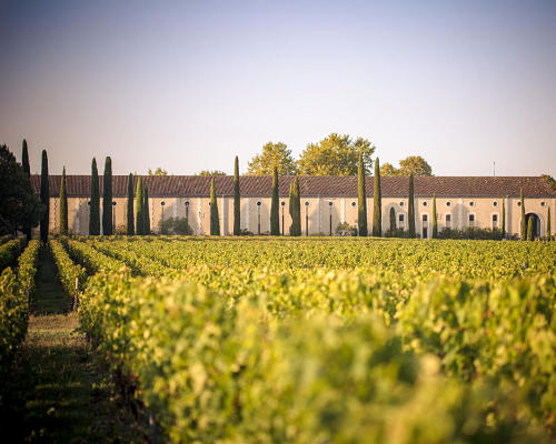 Lire la suite à propos de l’article Château Clarke : fraîcheur et terroir de la Rive Droite … dans le Médoc