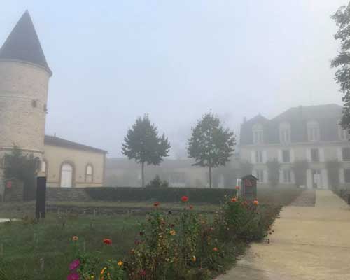 Lire la suite à propos de l’article Millésime 2018 : pas de grand vin au Château Guiraud