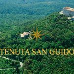 Tenuta San Guido | L’origine du mythe Sassicaia