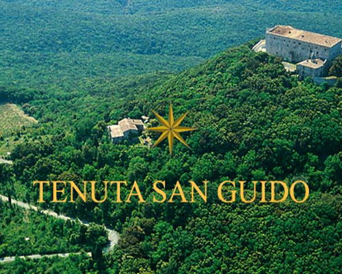 Lire la suite à propos de l’article Tenuta San Guido | L’origine du mythe Sassicaia