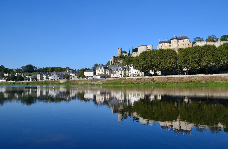 Chinon - iDealwine