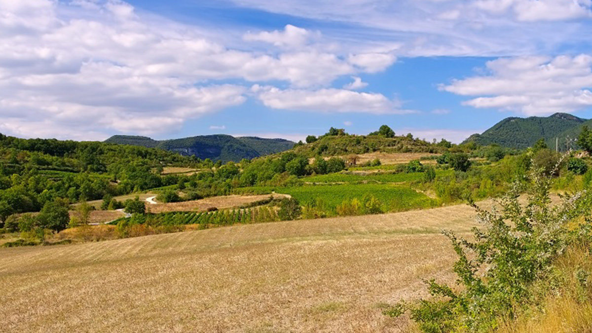 Lire la suite à propos de l’article Mas Cal Demoura | Sur le toit du Languedoc