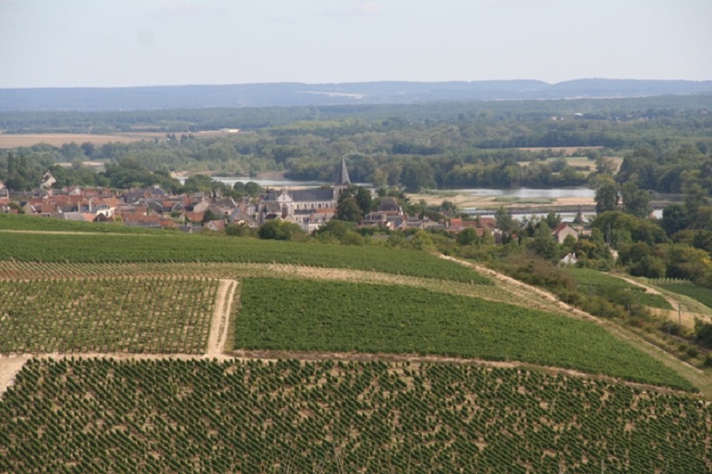 vignes loire pouilly fumé