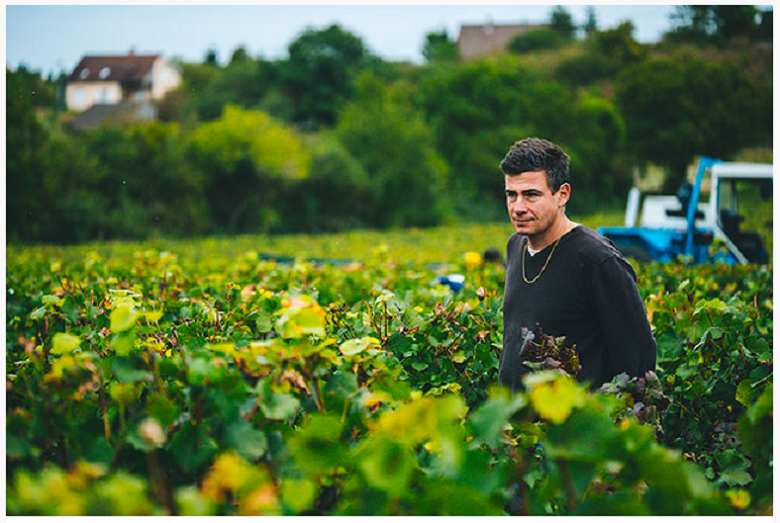 Vins Vincent Dureuil-Janthial iDealwine