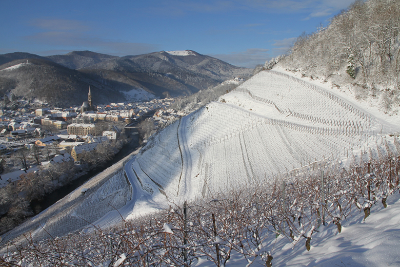 Domaine-Zind-Humbrecht