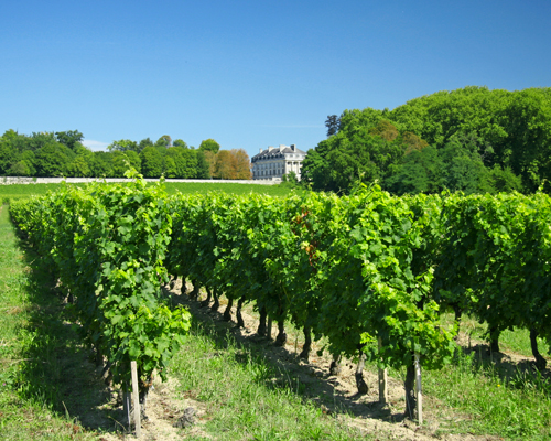 Lire la suite à propos de l’article Les terroirs du vignoble Bordelais