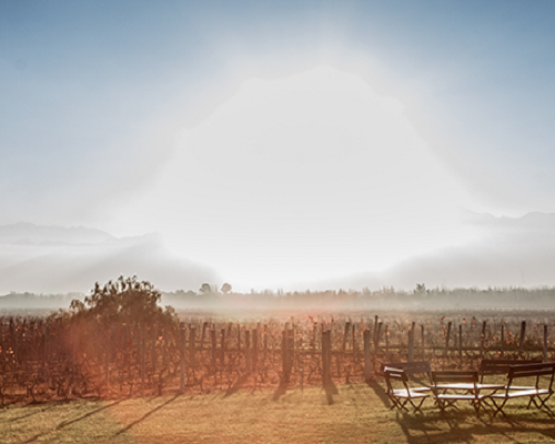 Lire la suite à propos de l’article Domaine Achaval Ferrer : le malbec hors catégorie