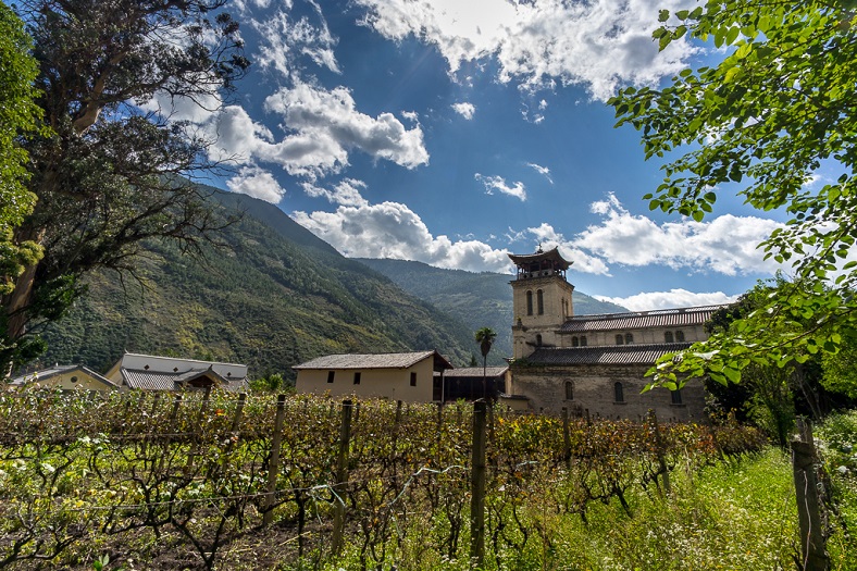 Xiaoling, l’incroyable aventure chinoise d’un vin de l’Himalaya 2