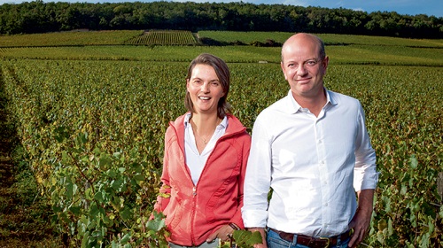 Lire la suite à propos de l’article Domaine Chandon de Briailles | Star de la Côte de Beaune