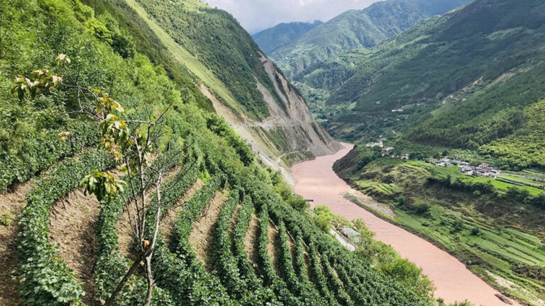 Lire la suite à propos de l’article Xiaoling, l’incroyable aventure chinoise d’un vin de l’Himalaya