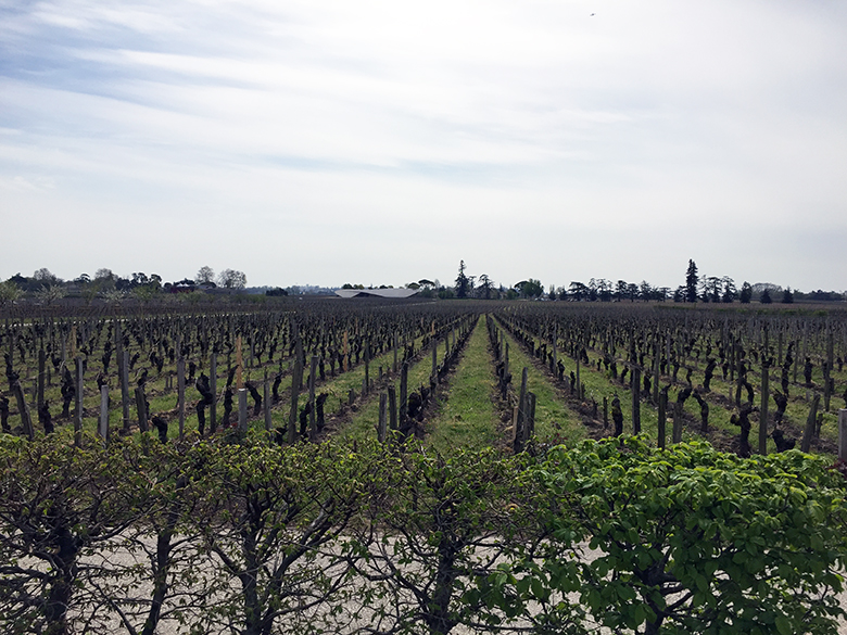 Primeurs-2018-Bordeaux-Rive-Droite