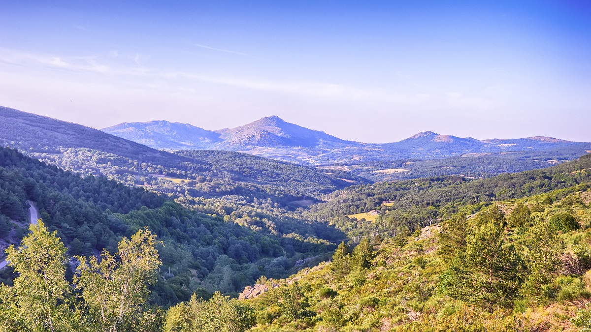 Lire la suite à propos de l’article Les grands vins d’Espagne, le guide iDealwine