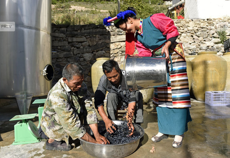 Xiaoling, l’incroyable aventure chinoise d’un vin de l’Himalaya foulage 