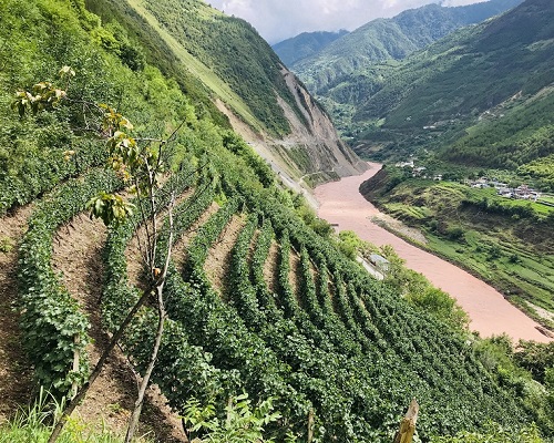 Lire la suite à propos de l’article Xiaoling, l’incroyable aventure chinoise d’un vin de l’Himalaya