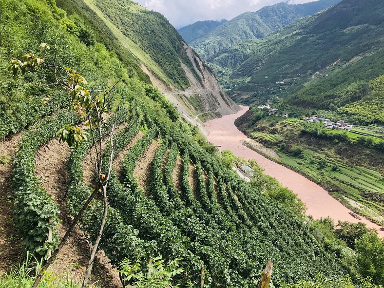 Xiaoling, l’incroyable aventure chinoise d’un vin de l’Himalaya 1