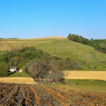 Domaine Castera | Grands souvenirs de dégustation au cœur du Jurançon