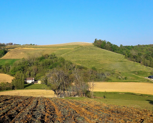 Lire la suite à propos de l’article Domaine Castera | Grands souvenirs de dégustation au cœur du Jurançon