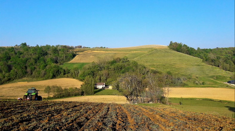 Domaine Castera Jurançon iDealwine Vin