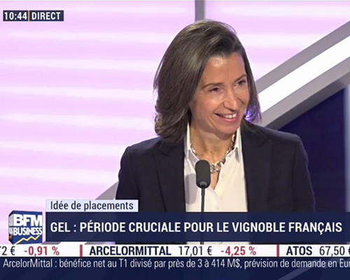 Lire la suite à propos de l’article Interview BFM | Gel dans la vigne, opportunités dans le Rhône Sud