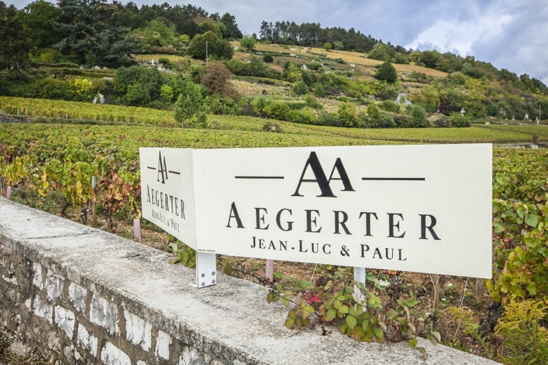 1-Aegerter Bourgogne iDealwine