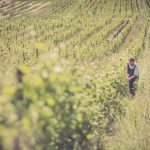 Marie et Florian Curtet : le vin savoyard vu « autrement »
