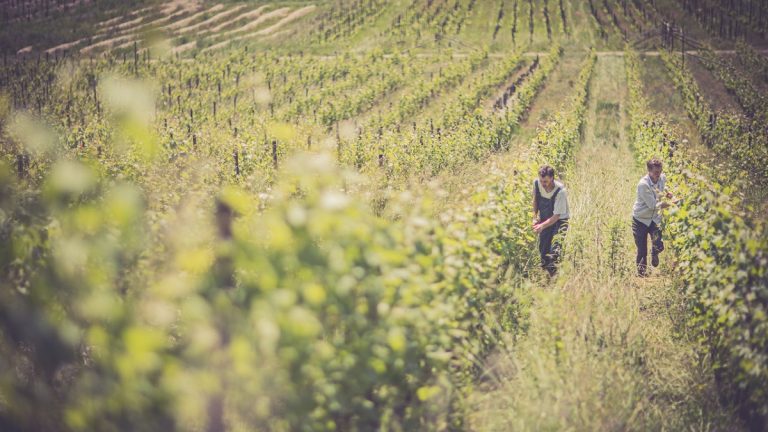 Lire la suite à propos de l’article Marie et Florian Curtet : le vin savoyard vu « autrement »