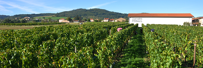 Guide-vins-loire-Cote-Roannaise