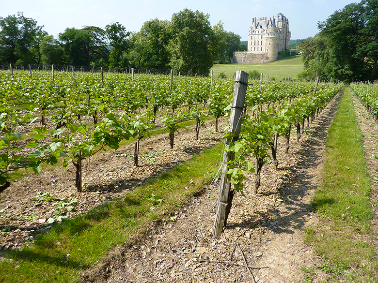 Guide-vins-loire-Touraine