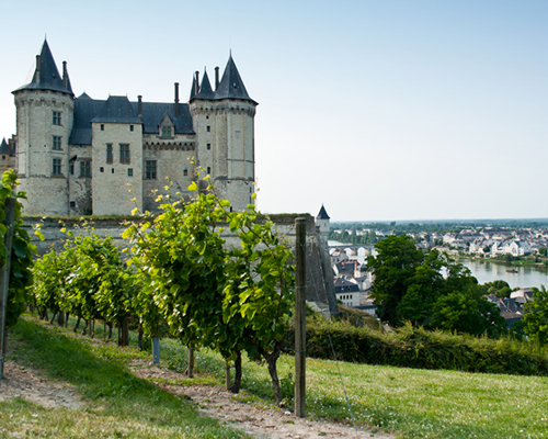Lire la suite à propos de l’article Vins de Loire | Une exploration des appellations et des terroirs