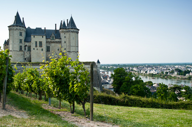 Vins de Loire | Appellations et terroirs