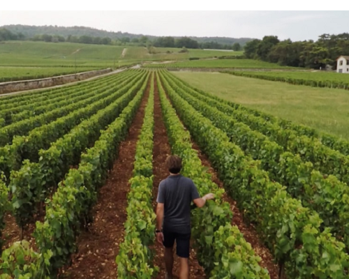 Lire la suite à propos de l’article Domaine Henri Boillot | Grands blancs de la Côte de Beaune