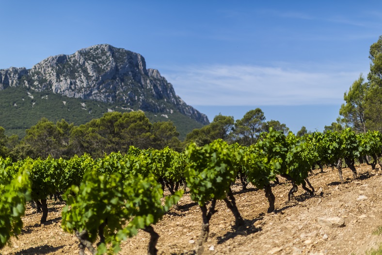 Languedoc Montcalmes iDealwine